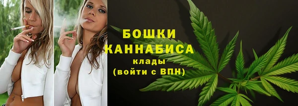 PSILOCYBIN Арсеньев