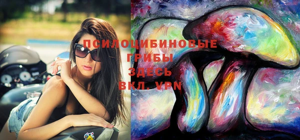 PSILOCYBIN Арсеньев